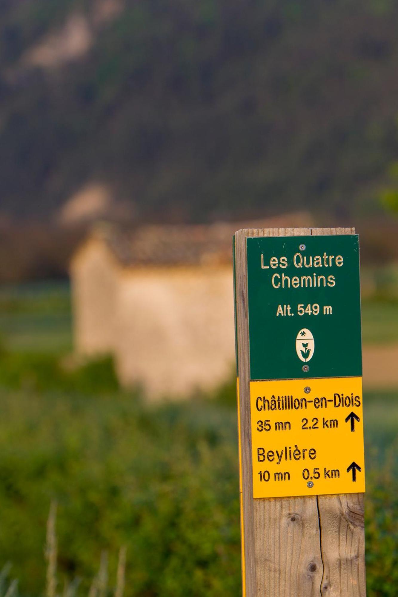 Le Dauphine Hotel Châtillon-en-Diois Buitenkant foto